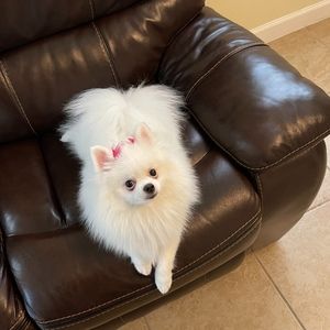 Meet your Posher, Alejandra